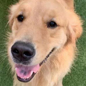 Meet your Posher, Jack